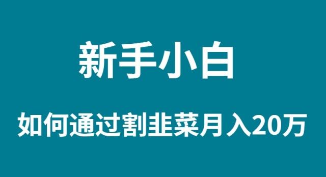 (9308期)新手小白如何通过割韭菜月入 20W-泱泱学习社