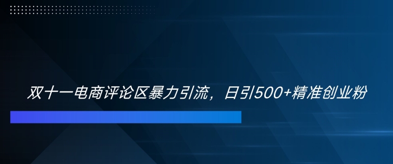 双十一电商评论区暴力引流，日引500+精准创业粉【揭秘】-泱泱学习社