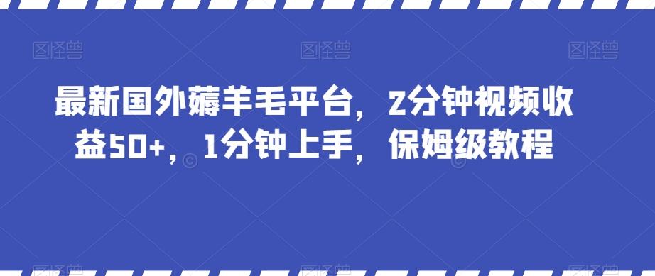 最新国外薅羊毛平台，2分钟视频收益50+，1分钟上手，保姆级教程【揭秘】-泱泱学习社