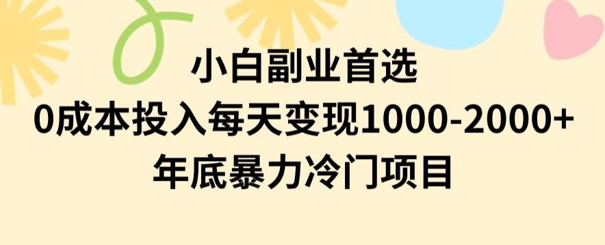 小白副业首选，0成本投入，每天变现1000-2000年底暴力冷门项目【揭秘】-泱泱学习社