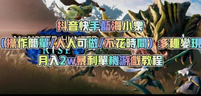 抖音快手蓝海小众（操作简单人人可做不花时间）多种变现月入2w＋暴利单机游戏教程-泱泱学习社