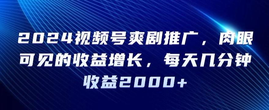 2024视频号爽剧推广，肉眼可见的收益增长，每天几分钟收益2000+【揭秘】-泱泱学习社