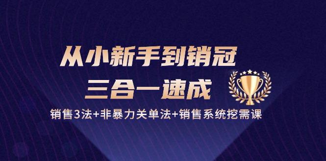 从小新手到销冠 三合一速成：销售3法+非暴力关单法+销售系统挖需课 (27节-泱泱学习社