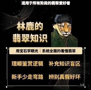 林鹿的翡翠知识，​用宝石眼光，系统全面的看懂翡翠-泱泱学习社