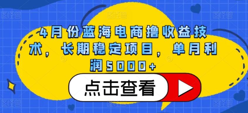 4月份蓝海电商撸收益技术，长期稳定项目，单月利润5000+【揭秘】-泱泱学习社
