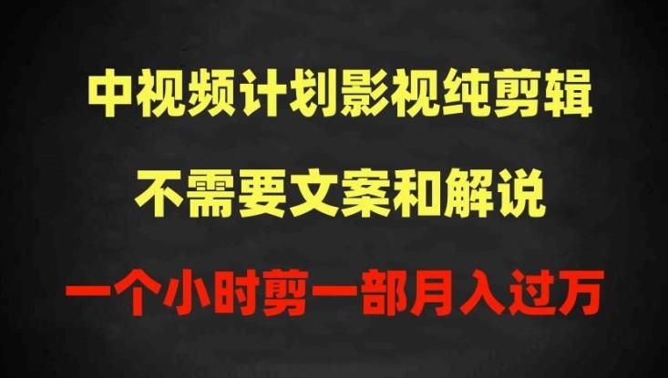 中视频计划影视纯剪辑，不需要文案和解说，一个小时剪一部，100%过原创月入过万【揭秘】-泱泱学习社