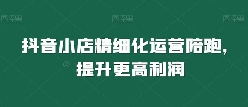 抖音小店精细化运营陪跑，提升更高利润-泱泱学习社
