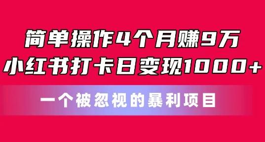 简单操作4个月赚9w，小红书打卡日变现1k，一个被忽视的暴力项目【揭秘】-泱泱学习社