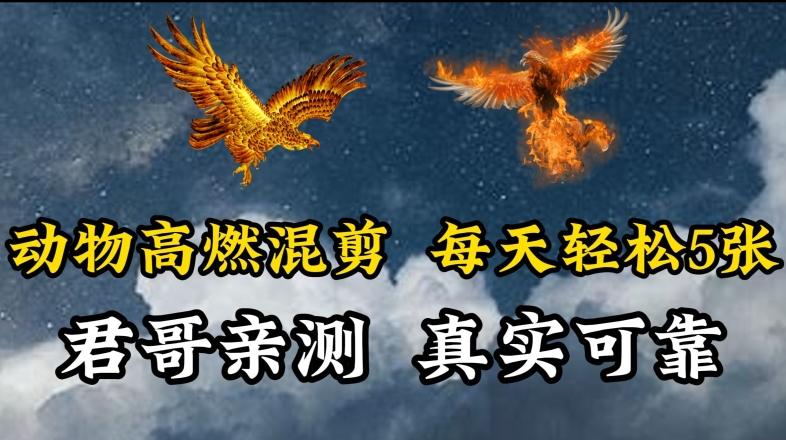 动物超燃混剪，每天轻松5张，剪辑简单大家爱看【揭秘】-泱泱学习社