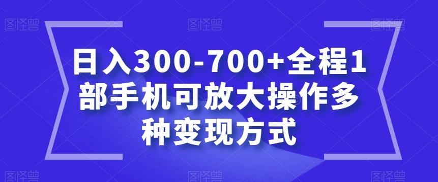 日入300-700+全程1部手机可放大操作多种变现方式【揭秘】-泱泱学习社