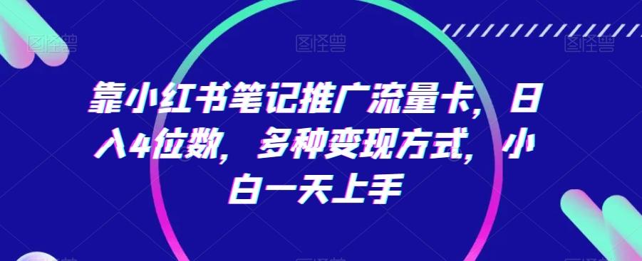 靠小红书笔记推广流量卡，日入4位数，多种变现方式，小白一天上手-泱泱学习社