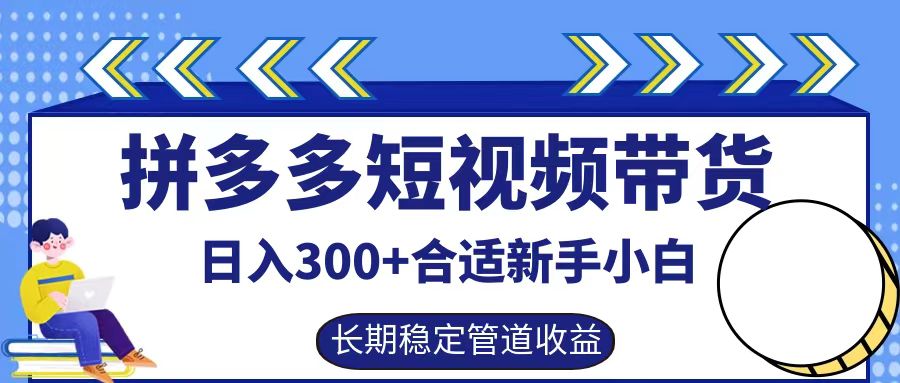 拼多多短视频带货日入300+，实操账户展示看就能学会-泱泱学习社
