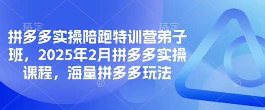 拼多多实操陪跑特训营弟子班，2025年2月拼多多实操课程，海量拼多多玩法-泱泱学习社