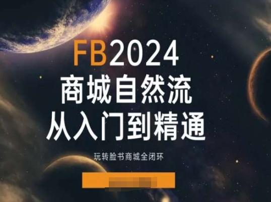 2024Faceboo商城自然流(从入门到精通)，玩转脸书商城全闭环-泱泱学习社