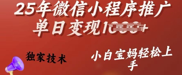 25年微信小程序推广单日变现多张，独家技术，小白宝妈轻松上手【揭秘】-泱泱学习社