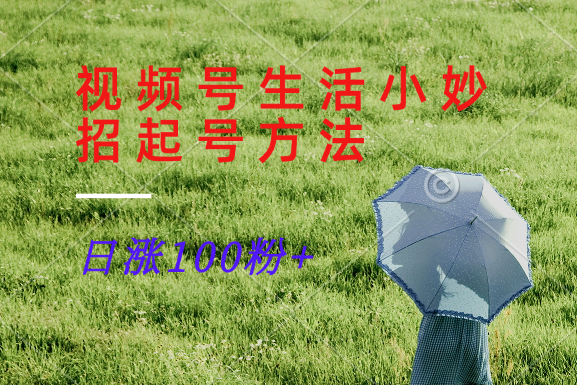 视频号生活小妙招分享赛道， 起号涨粉新方法，日涨100粉-泱泱学习社
