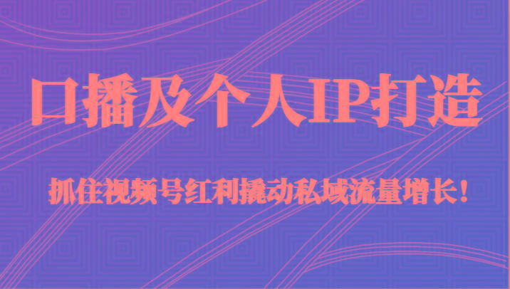 口播及个人IP打造，抓住视频号红利撬动私域流量增长！（45节课）-泱泱学习社