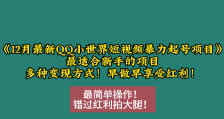 12月最新QQ小世界短视频暴力起号项目，最适合新手的项目，多种变现方式-泱泱学习社