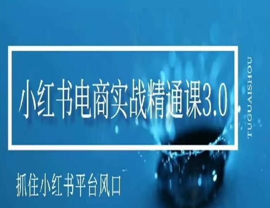小红书电商实战精通课3.0，抓住小红书平台的风口，不错过有一个赚钱的机会-泱泱学习社