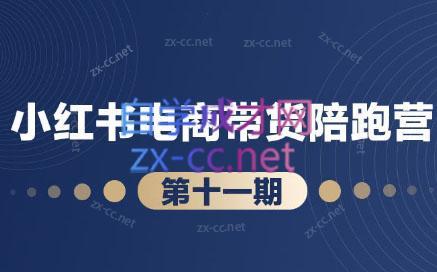 盗坤·小红书电商带货陪跑营(第十一期)-泱泱学习社