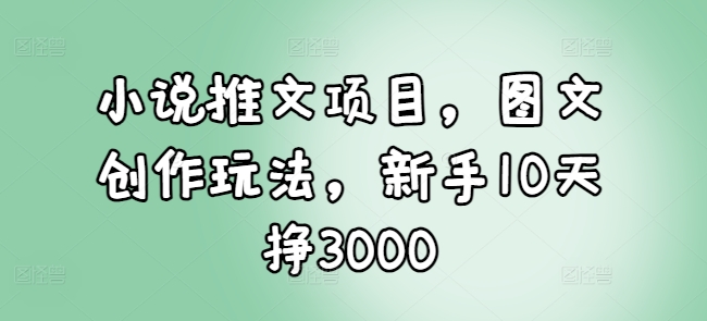 小说推文项目，图文创作玩法，新手10天挣3000-泱泱学习社