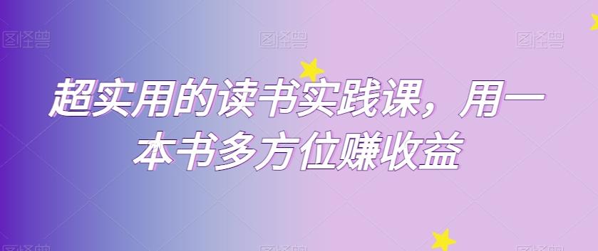 超实用的读书实践课，用一本书多方位赚收益-泱泱学习社