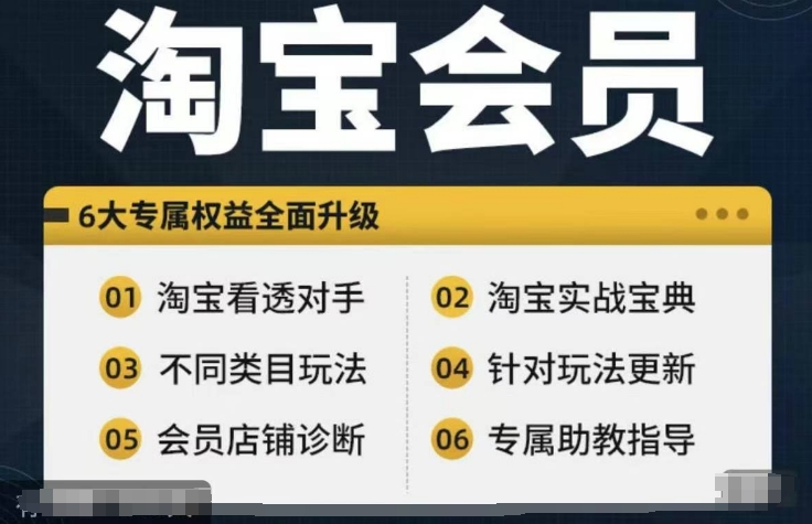 淘宝会员【淘宝所有课程，全面分析对手】，初级到高手全系实战宝典-泱泱学习社