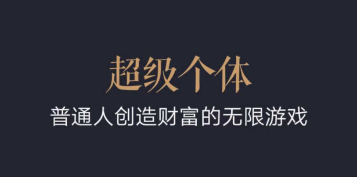 超级个体：2024-2025翻盘指南，普通人创造财富的无限游戏-泱泱学习社