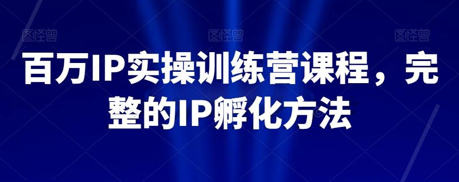 百万IP实操训练营课程，完整的IP孵化方法-泱泱学习社