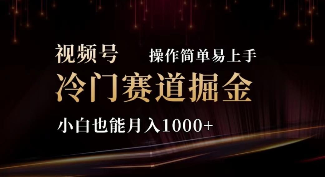 2024视频号冷门赛道掘金，操作简单轻松上手，小白也能月入1000+-泱泱学习社