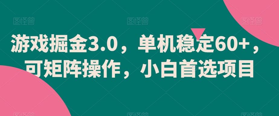 游戏掘金3.0，单机稳定60+，可矩阵操作，小白首选项目【揭秘】-泱泱学习社