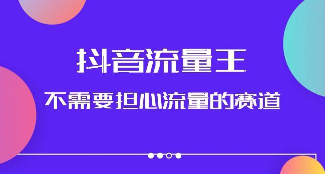 抖音流量王，不需要担心流量的赛道，美女图文音乐号升级玩法（附实操+养号流程）-泱泱学习社