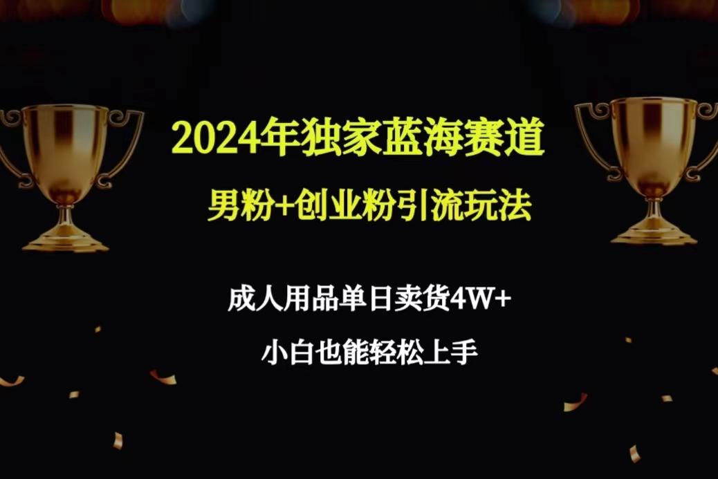 2024年独家蓝海赛道男粉+创业粉引流玩法，成人用品单日卖货4W+保姆教程-泱泱学习社