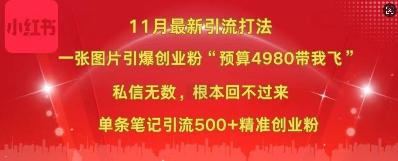 小红书11月最新图片打粉，一张图片引爆创业粉，“预算4980带我飞”，单条引流500+精准创业粉-泱泱学习社