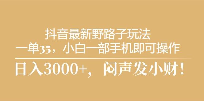 抖音最新野路子玩法，一单35，小白一部手机即可操作，，日入3000+，闷…-泱泱学习社