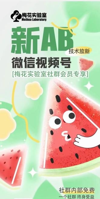梅花实验室2024年AB技术视频号AB合成破解版-泱泱学习社