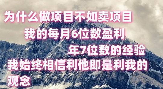 做项目不如卖项目，每月6位数盈利，年7位数经验-泱泱学习社