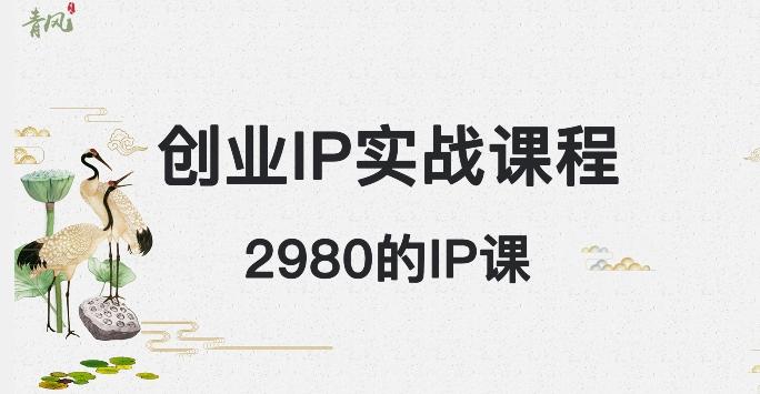 外边卖2980的创业IP课程，做私域月入5w+-泱泱学习社