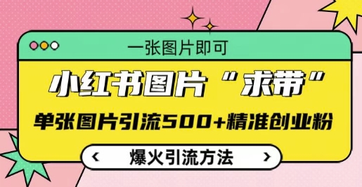 小红书图片‘求带’爆火引流法，单张图片引流500+精准创业粉【揭秘】-泱泱学习社