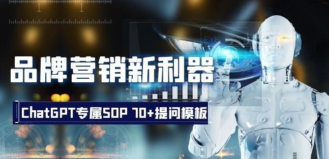 品牌营销新利器：ChatGPT专属SOP，70+提问模板【文档】-泱泱学习社
