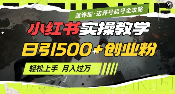 2月小红书最新日引500+创业粉实操教学【超详细】小白轻松上手，月入1W+，附小红书养号起号SOP-泱泱学习社