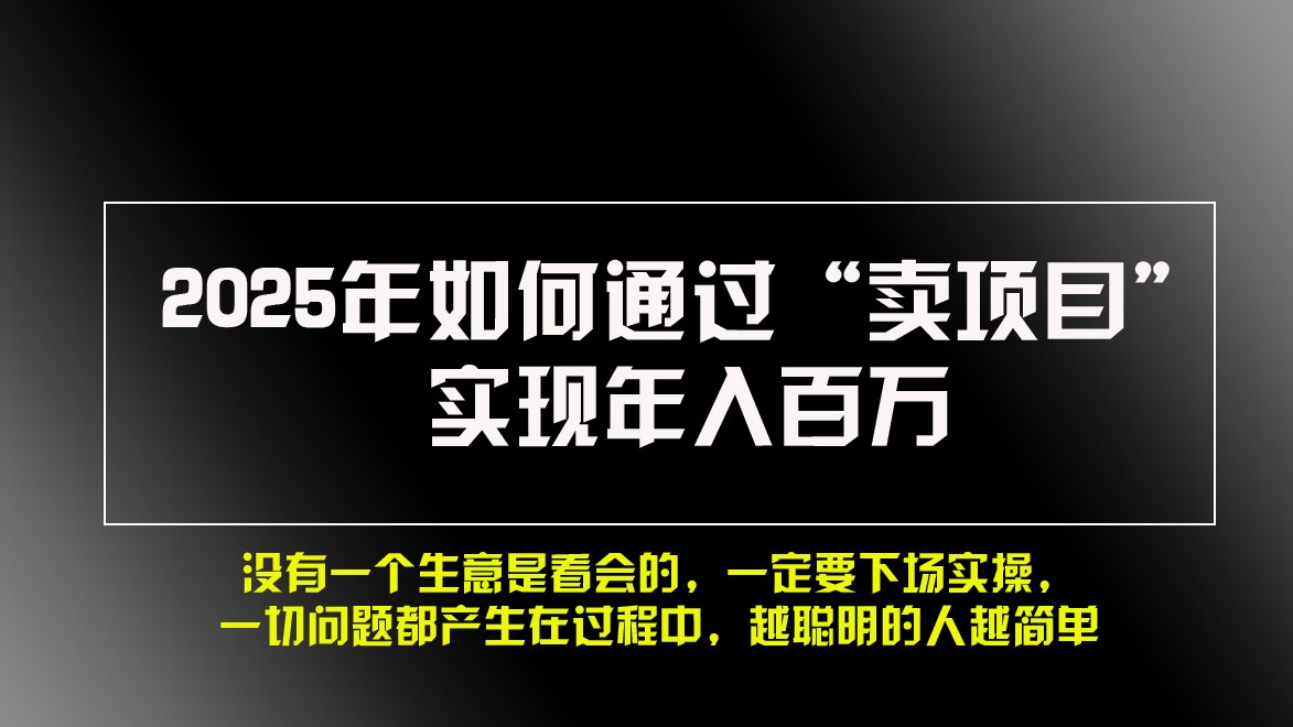 2025年如何通过“卖项目”实现年入百万-泱泱学习社