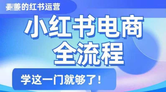 小红书电商全流程，精简易懂，从入门到精通，学这一门就够了-泱泱学习社