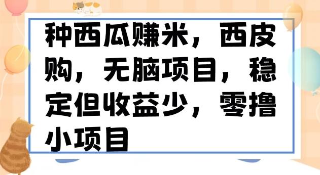 种西瓜赚米，西皮购稳定长久零撸小项目-泱泱学习社