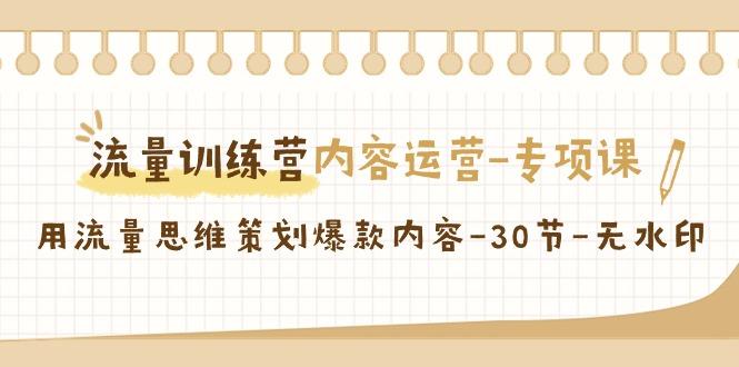 流量训练营之内容运营专项课，用流量思维策划爆款内容(30节课)-泱泱学习社