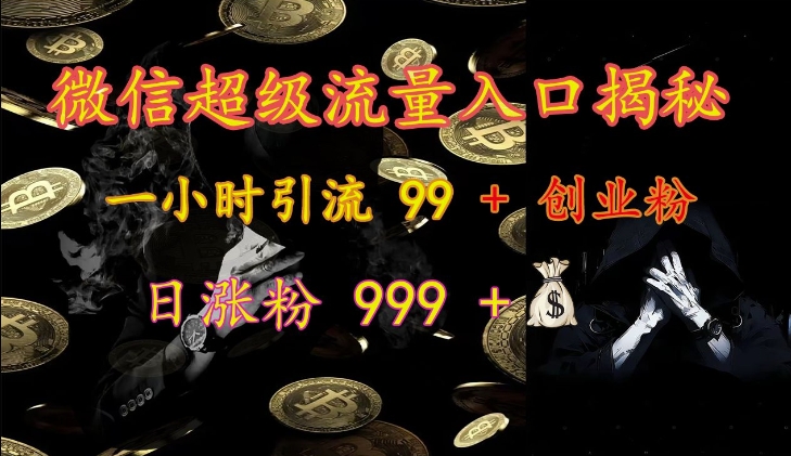 微信超级流量入口揭秘：一小时引流 99 + 创业粉，日涨粉 999 +-泱泱学习社