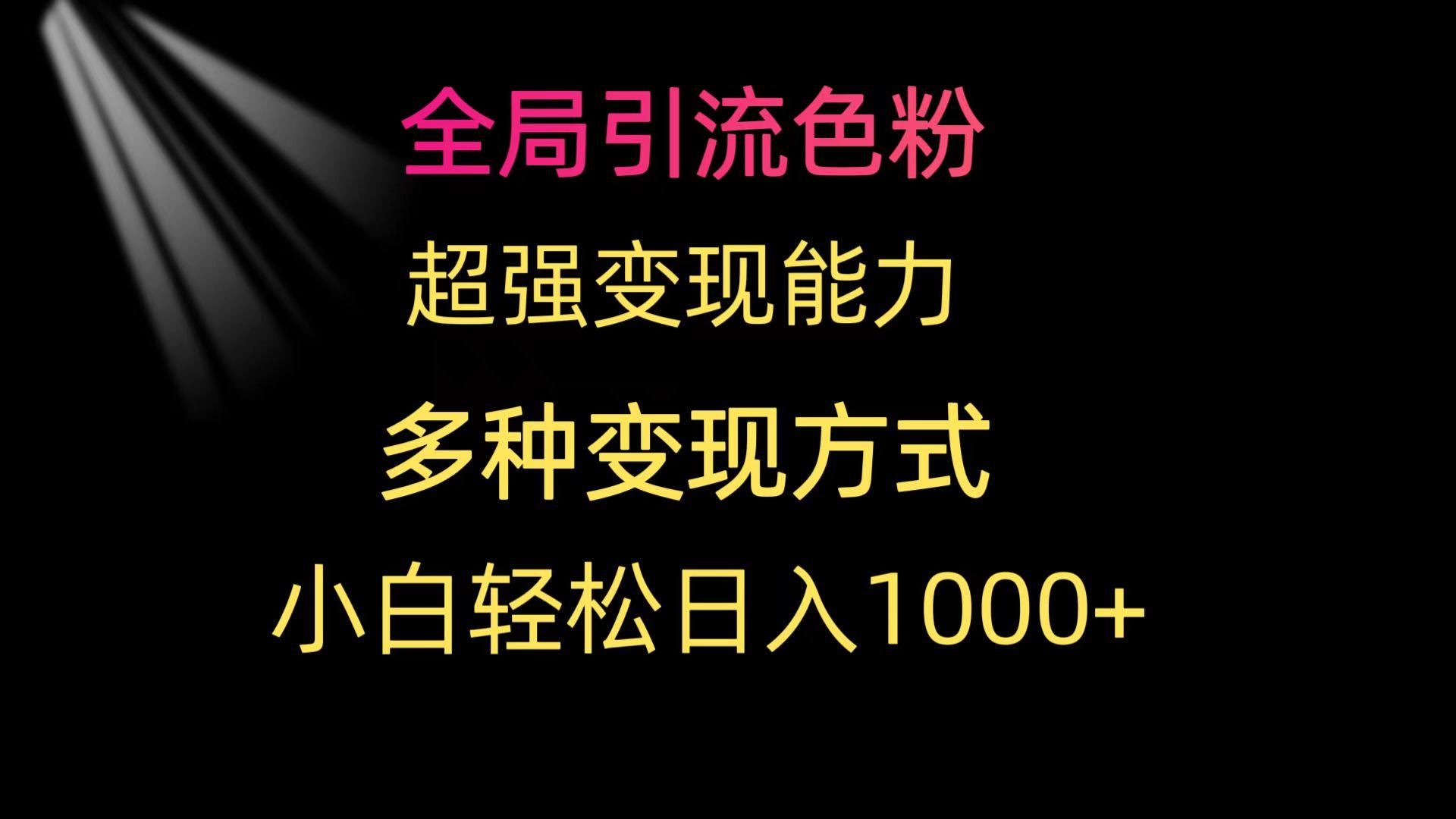 (9680期)全局引流色粉 超强变现能力 多种变现方式 小白轻松日入1000+-泱泱学习社
