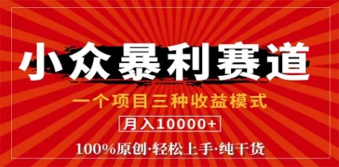 视频号最新爆火赛道，三种可收益模式，0粉新号条条原创条条热门 日入1000+-泱泱学习社