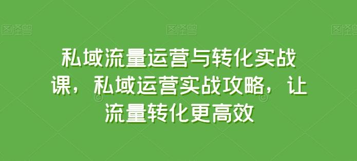 私域流量运营与转化实战课，私域运营实战攻略，让流量转化更高效-泱泱学习社