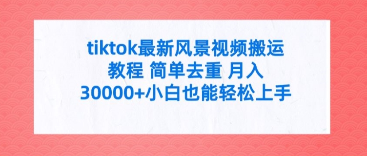 tiktok最新风景视频搬运教程 简单去重 月入3W+小白也能轻松上手【揭秘】-泱泱学习社